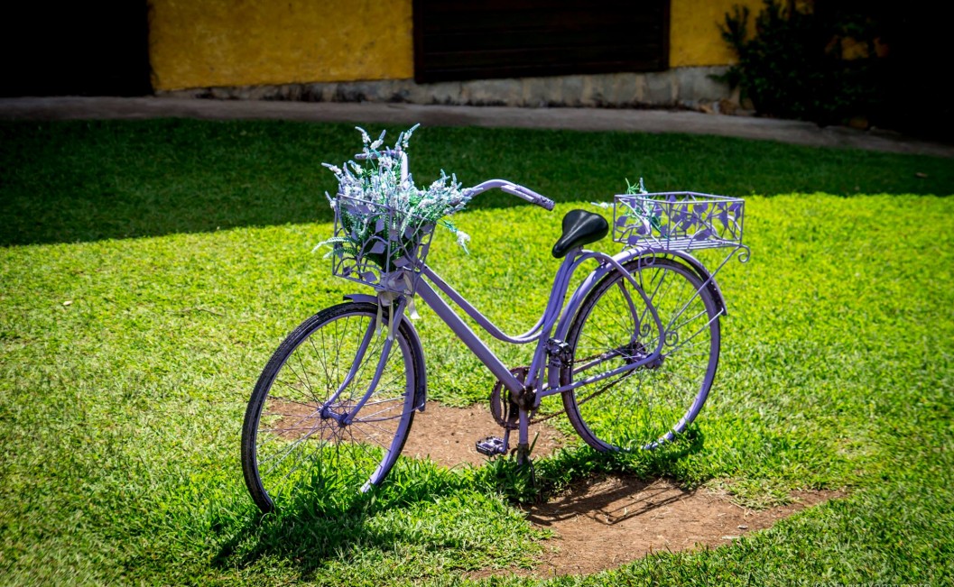 Imagem que ilustra o título: Gramado como você nunca viu