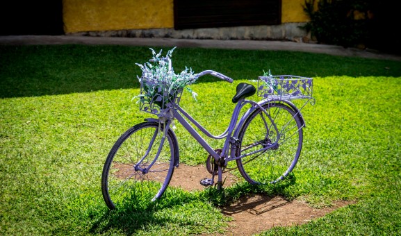 Imagem que ilustra o título: Gramado como você nunca viu